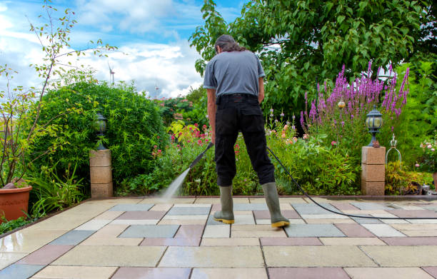 Best Sidewalk and Walkway Pressure Cleaning in Columbus Af, MS