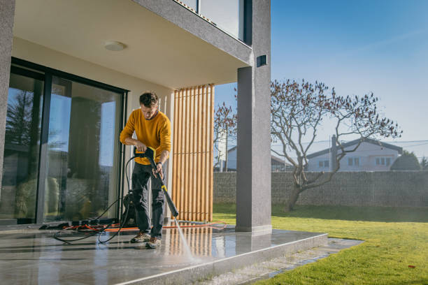 Best Roof Cleaning and Mildew Removal in Columbus Af, MS
